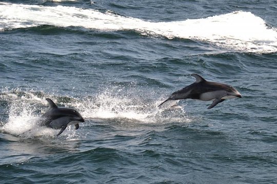 Tour image 6