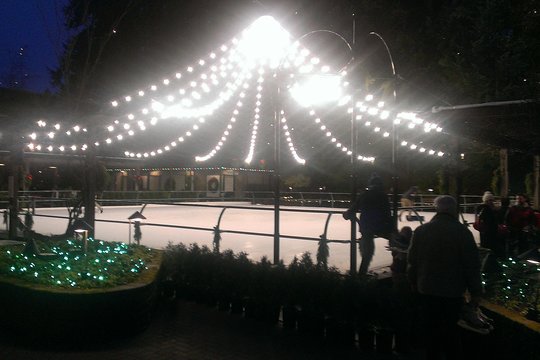 Tour image 7