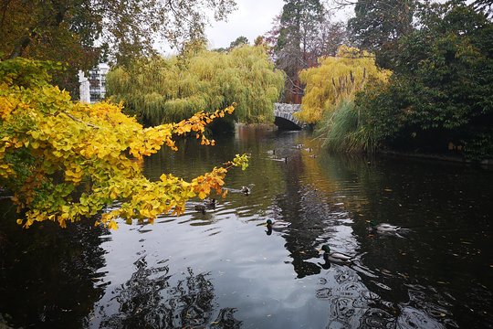 Tour image 4