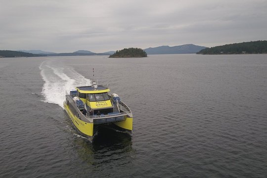Tour image 8