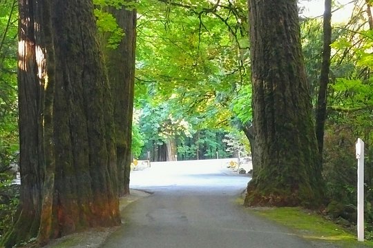 Tour image 11